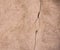 Background of pinkish rough stucco with a vertical crack