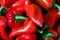 Background of piquillo peppers, in Lodosa, spain