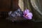 Background with plums plate and hibiscus flower