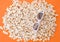 Background. Popcorn on a bright orange background. 3d glasses for watching a movie, top view