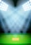 Background for posters night cricket stadium in the spotlight. Vector