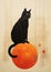 Background pumpkin cat orange autumn black animal