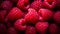 Background of raspberries