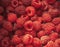 Background of raspberries. Healthy food