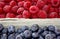 Background of raspberry and blueberry in packing containers, cardboard boxes with berries, red and blue fruit in package