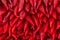 Background of red anaheim peppers