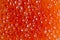 Background of red caviar