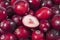 Background of red fresh raw cranberry fruits macro