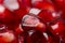 Background of a red juicy ripe pomegranate seeds