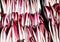 background of red lettuce or red chicory called Radicchio Tarddi