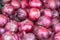 Background of red spanish onions