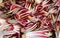 background of red vegetables called Radicchio Tardivo in Italy