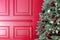 Background of the red wall of the royal interior with a light accent in the center and a Christmas fluffy Christmas tree. Copy