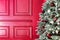 Background of the red wall of the royal interior with a light accent in the center and a Christmas fluffy Christmas tree. Copy