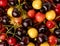 Background of ripe cherries of different colors. The view from the top.