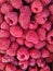 Background ripe raspberries, abstract flat layout, food photo fruit composition top view, crimson mottled layout