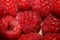 Background of ripe red raspberries fruits natural healthy vitamins power big size high quality botanical print rubus
