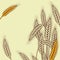Background with ripe yellow wheat ears vector