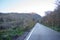 Background of the road at sunrise and the first rays, trees and grass on the roadside