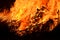 Background roaring fire flames of bushfire blaze at night