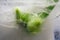 Background of rose  flower    in ice   cube with air bubbles