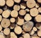 Background of round logs of deciduous trees
