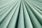 Background of rounded parallel stripes, green texture