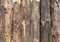 Background of rude logs stockade