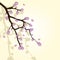 Background with sakura branch