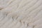 Background of sand, wind formed relief, bird footprints