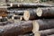 Background sawmill folded pine tree trunks deforestation pattern design harvesting for construction