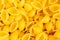 Background of scattered uncooked Italian conchiglie pasta shells