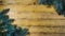 Background of scorched pine boards, with blue spruce branches.