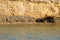 Background Of Sea Meets Rock-face Rocks Waters Edge