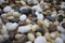 Background from sea pebbles of different colors, white, black brown. Ocean pebbles round, stone marine closeup.
