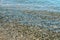 Background Of Sea Pebbles Under Water On Beach. Pebbles under clear water