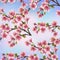 Background seamless pattern with sakura tree