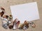 Background of seashells on the beach sand background with paper
