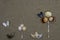 Background with seashells forming a creative design