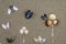 Background with seashells forming a creative design