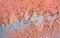 Background of shabby orange wall with blue spots. Bright texture of peeling paint on old worn wall.