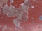 Background showing peeling dark red terracotta tile paint