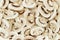 Background, sliced white champignons, food texture