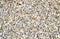 Background from small round crushed stone