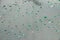 Background smooth round raindrops on glass with green highlights