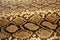 Background snake skin pattern brown