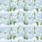 Background with snowdrops