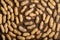 Background spiral pattern of circling peanuts
