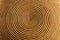 Background of a spiral woven wicker texture - Detail of a basket