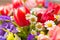 Background of spring flowers, chamomile, tulips, close-up